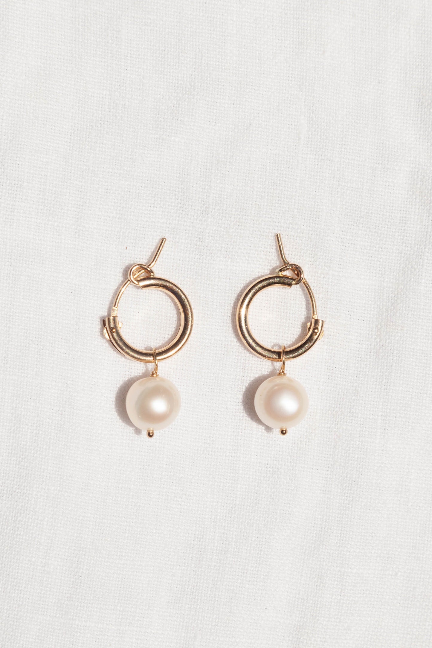 Zaya deluxe hoop - 14k Gold Filled