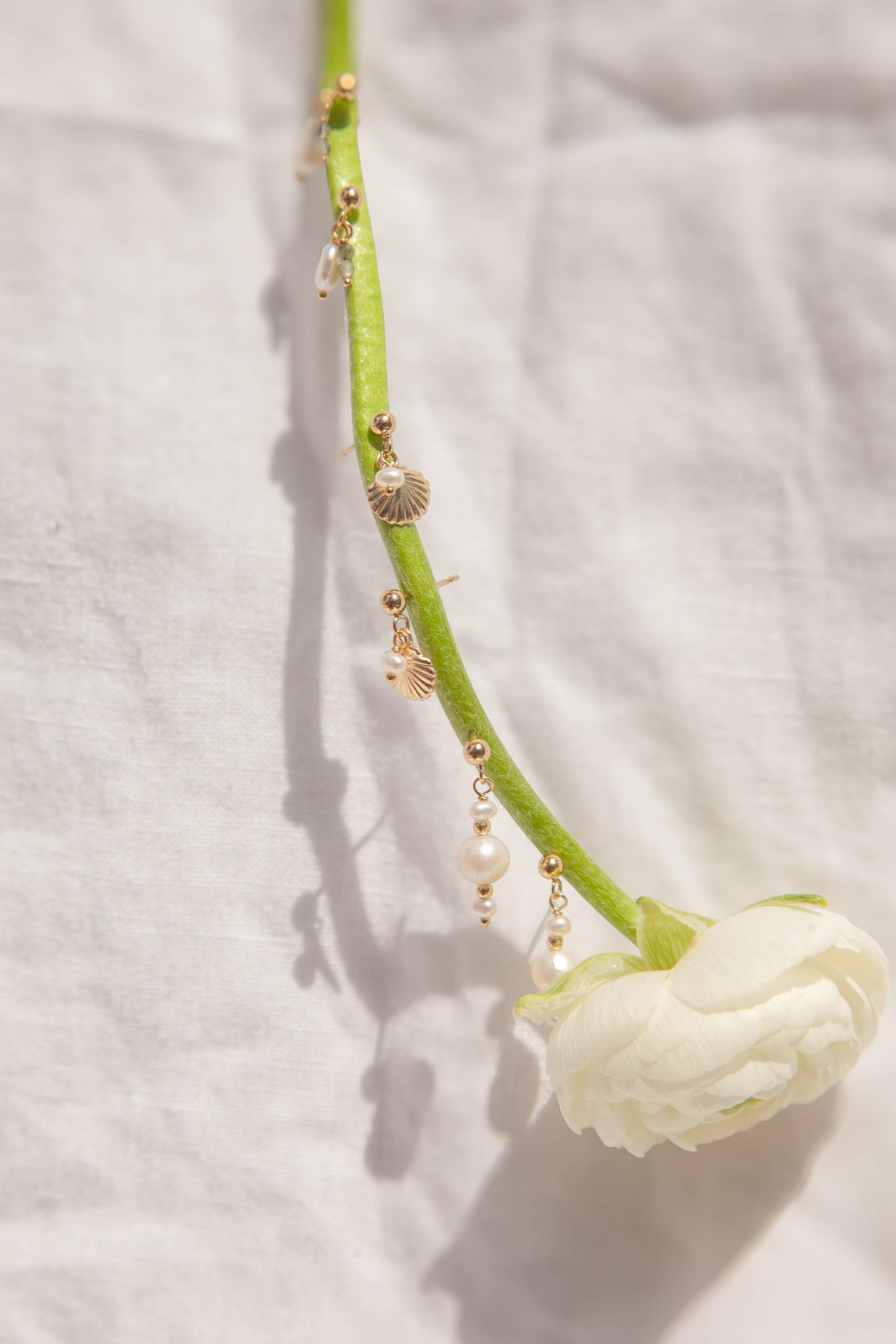 Shell Drop - 14k Gold Filled