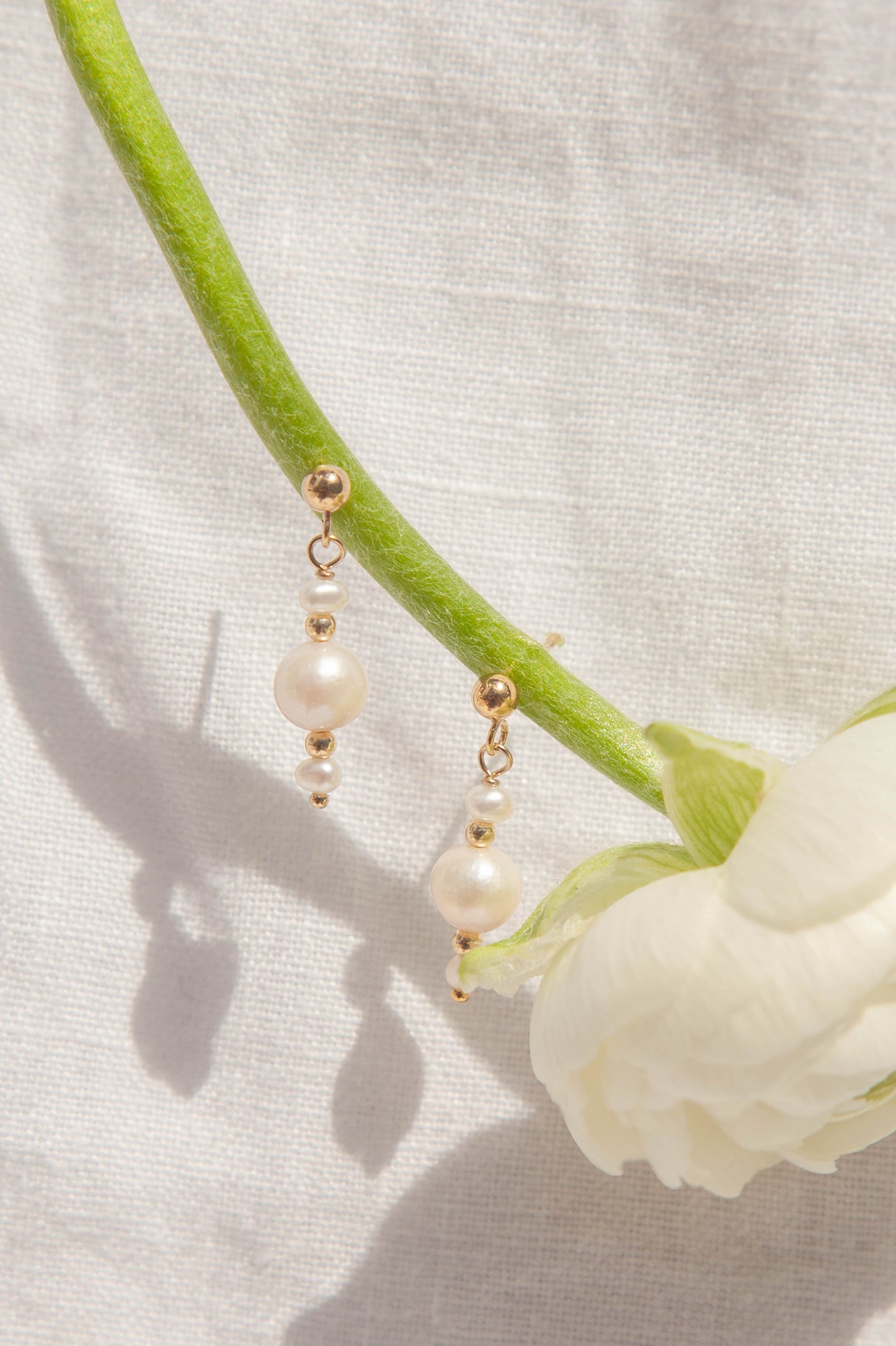 zoru After Hours - Private Class