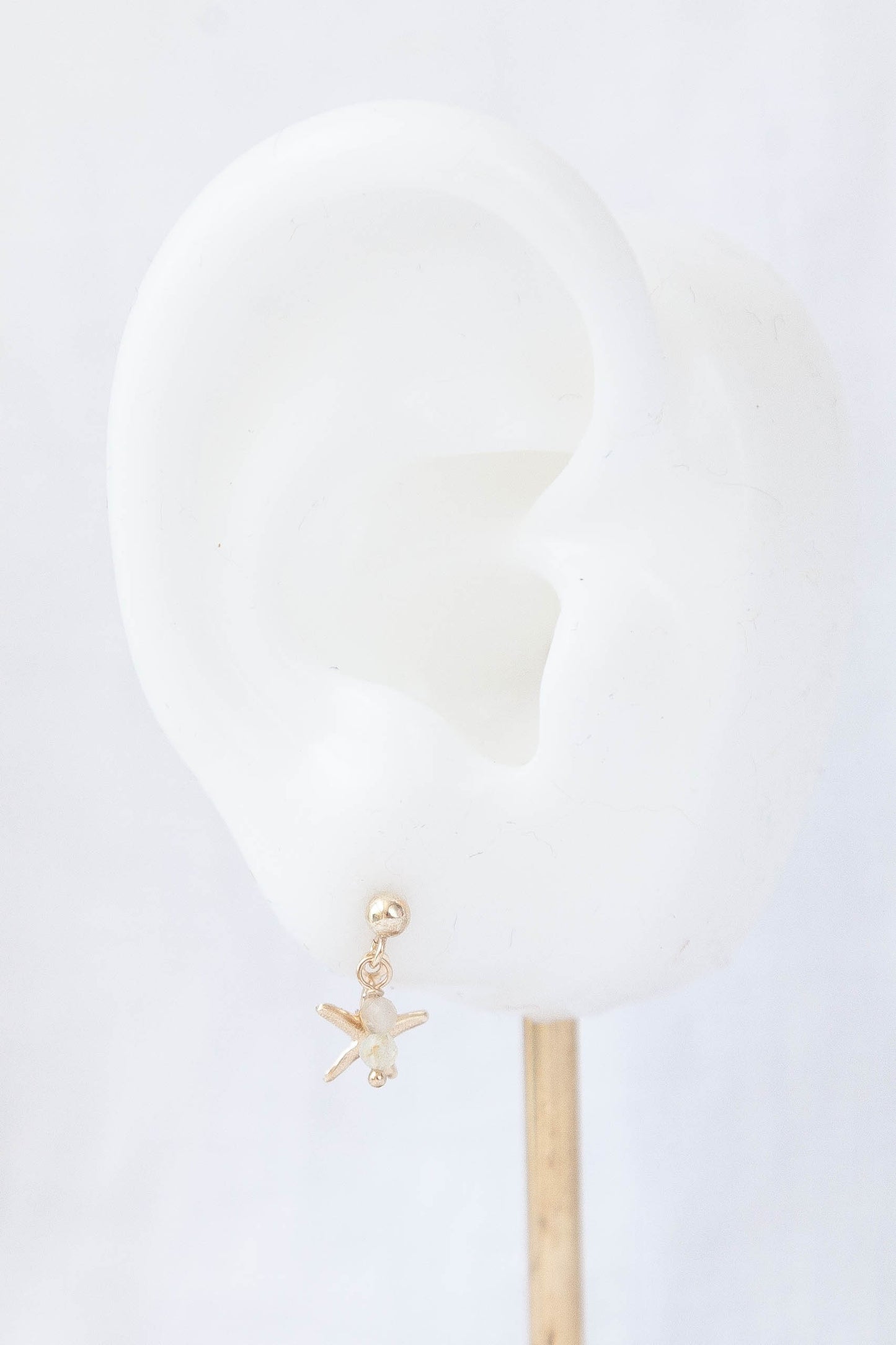 Starfish Drop - 14k Gold Filled