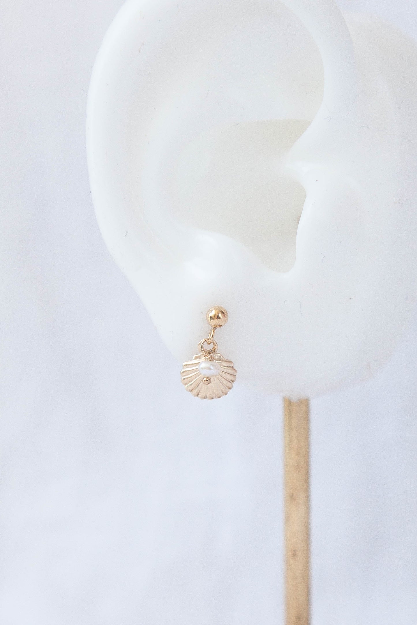 Shell Drop - 14k Gold Filled